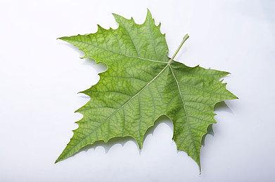 手绘动画拳击游戏《雷霆战魂》公开全新预告